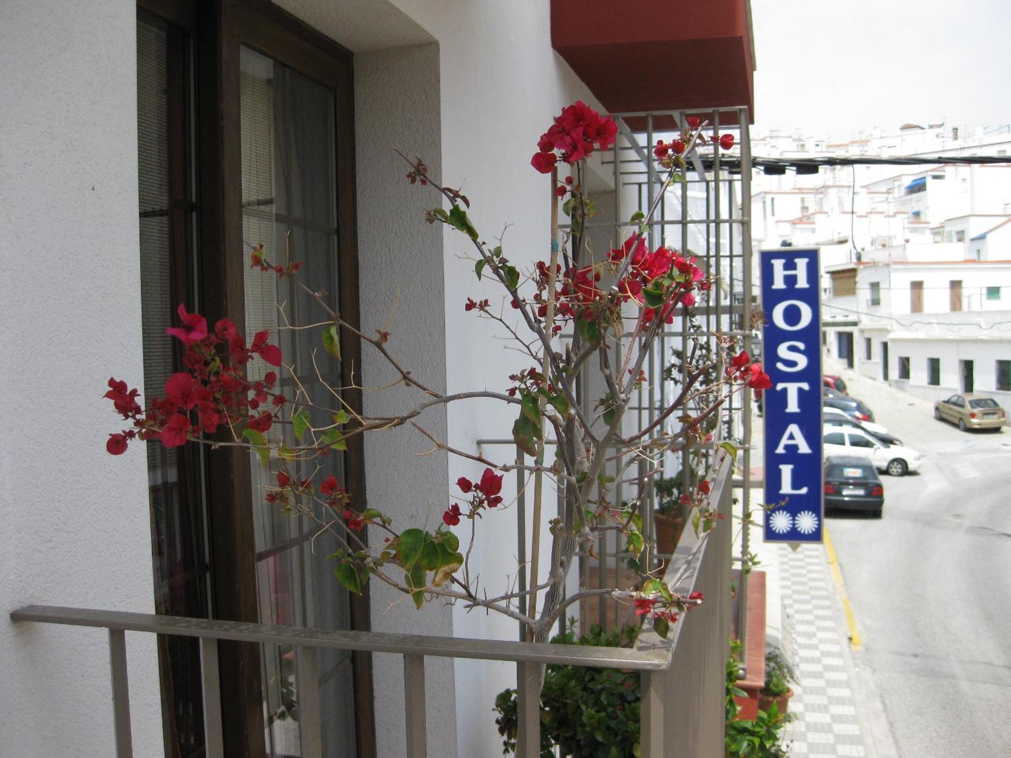 Hostal Palomares سالوبرينيا المظهر الخارجي الصورة
