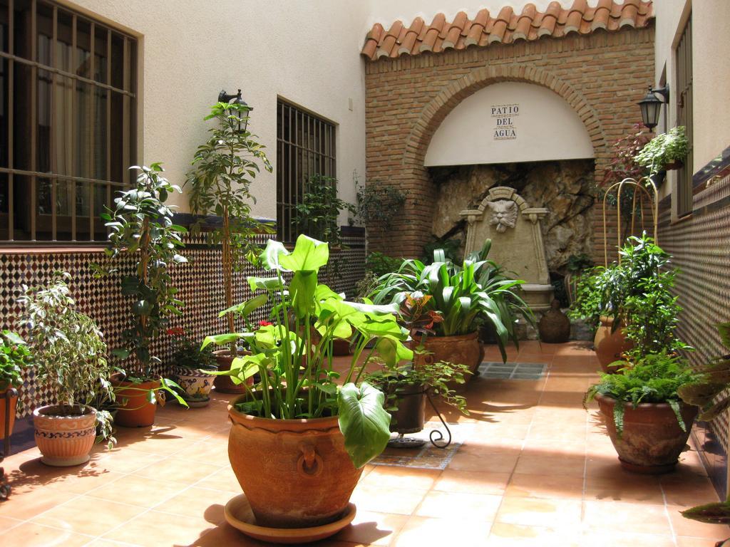 Hostal Palomares سالوبرينيا المظهر الخارجي الصورة